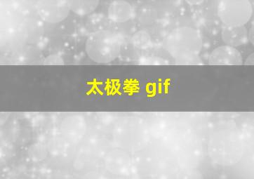 太极拳 gif